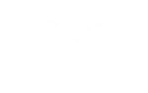Mirrikauppa