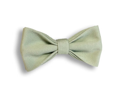 sage-green-rusetti-salvia-salvianvihrea-mirrikauppa-mirrikeisari-